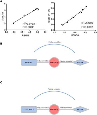 Identification of Diagnostic Exosomal LncRNA-miRNA-mRNA Biomarkers in Colorectal Cancer Based on the ceRNA Network